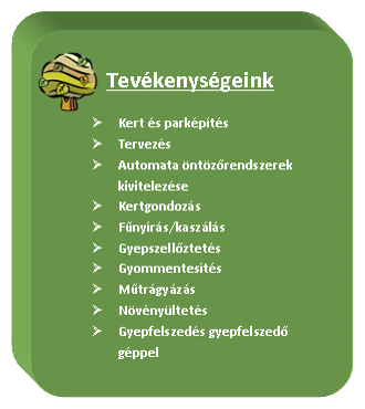 tevekenysegeink